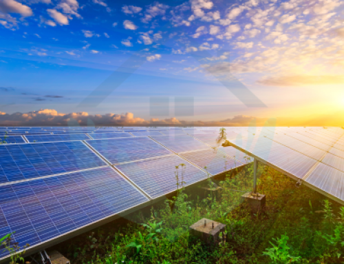 L’avenir du solaire : Les avancées technologiques et les tendances du marché